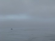 orcas-foggy-passing-1