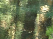 water-reflections-10