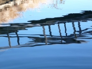water-reflections-16