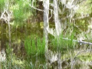 water-reflections-spring-cold-12