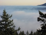 High Fog Coast Range