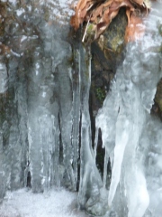 Ice Poses