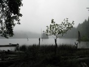 Misty Mt. Lake 7