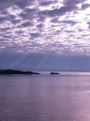Luminous Lopez 10