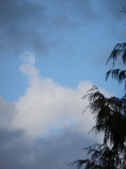 Weather Moon 7