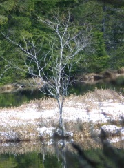 sun-and-snow-reflections