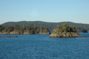 Crisp Ferry Day