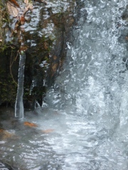 Ice Tapestries 2
