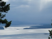 Misty Mt. Con 8