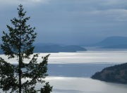 Misty Mt. Con 9