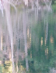 water-reflections-1