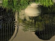 Southern Reflections