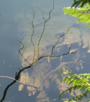 Water Reflections Misty Mountain lake 3mistily-3