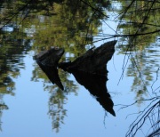 Water Reflections Misty Mountain lake 5