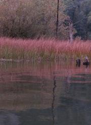 water-reflections-warm-mt-lake-2